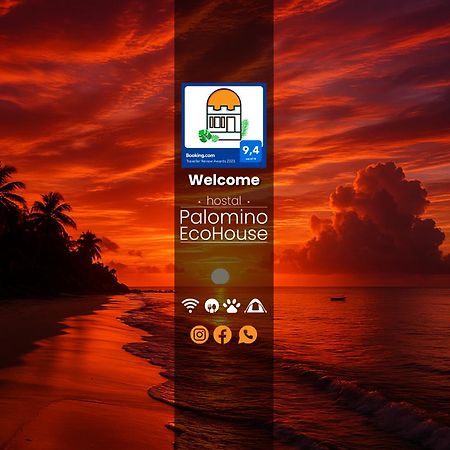 Hostal Palomino Ecohouse & Camping エクステリア 写真