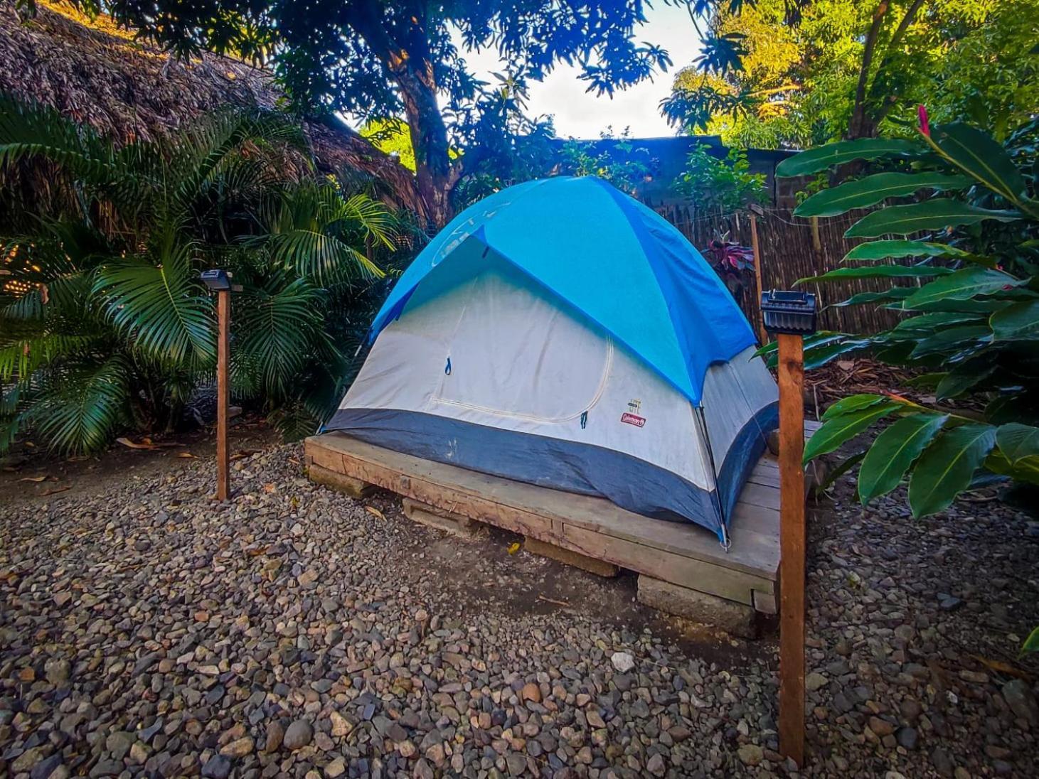 Hostal Palomino Ecohouse & Camping エクステリア 写真