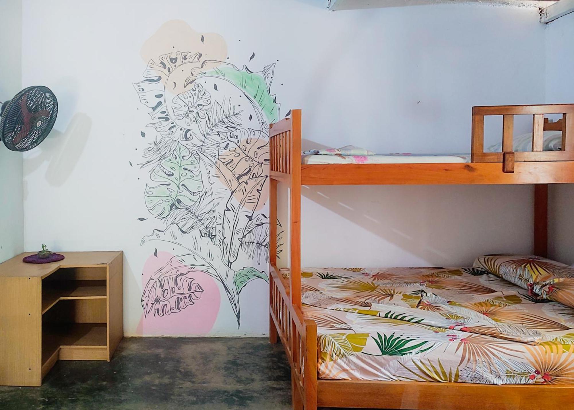 Hostal Palomino Ecohouse & Camping 部屋 写真