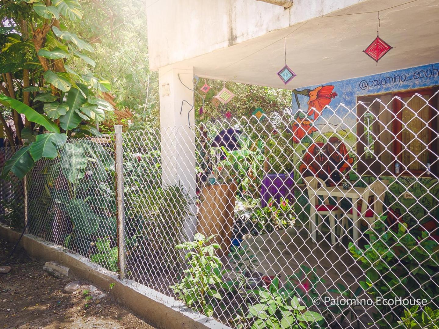 Hostal Palomino Ecohouse & Camping エクステリア 写真