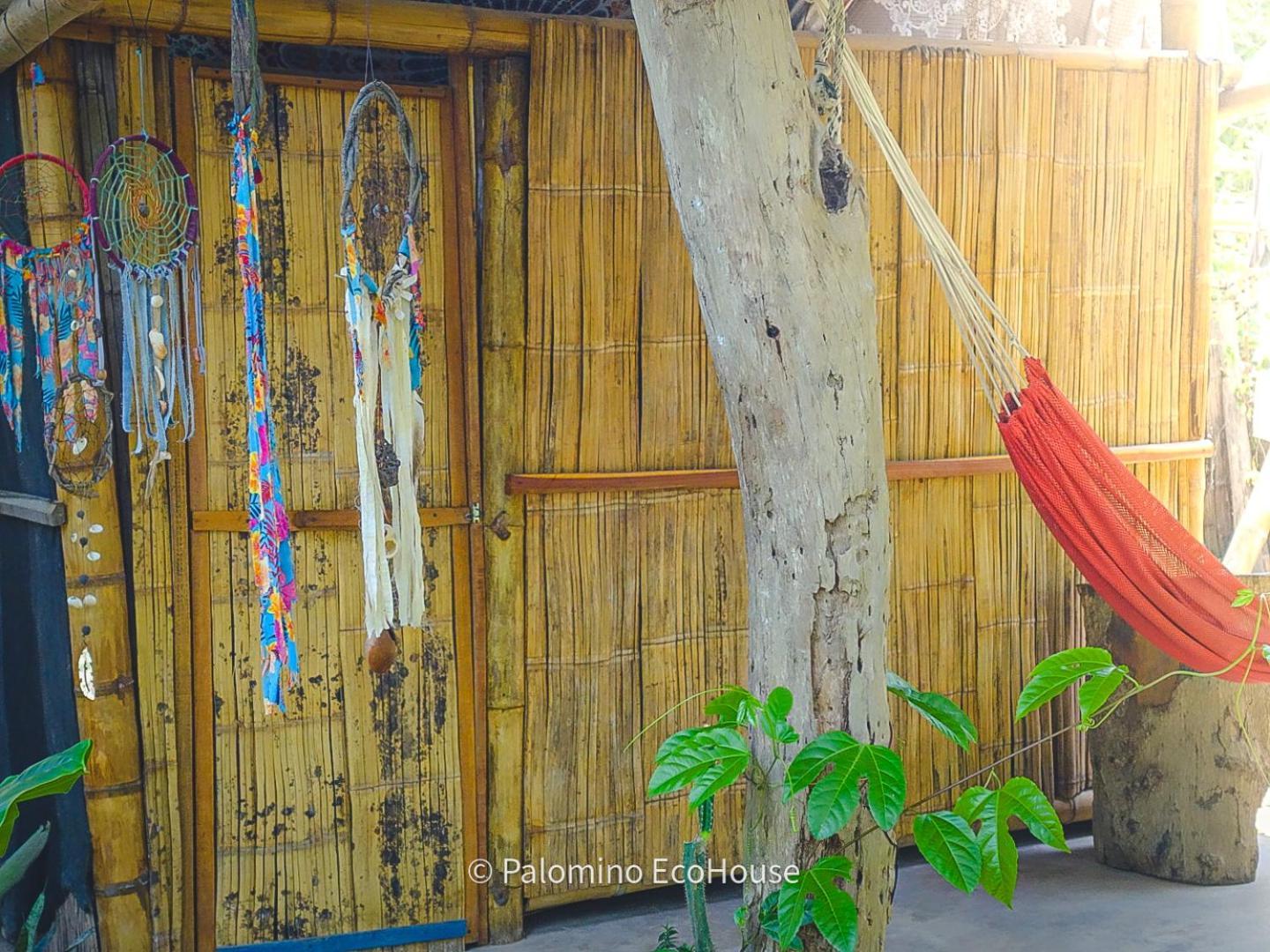 Hostal Palomino Ecohouse & Camping 部屋 写真