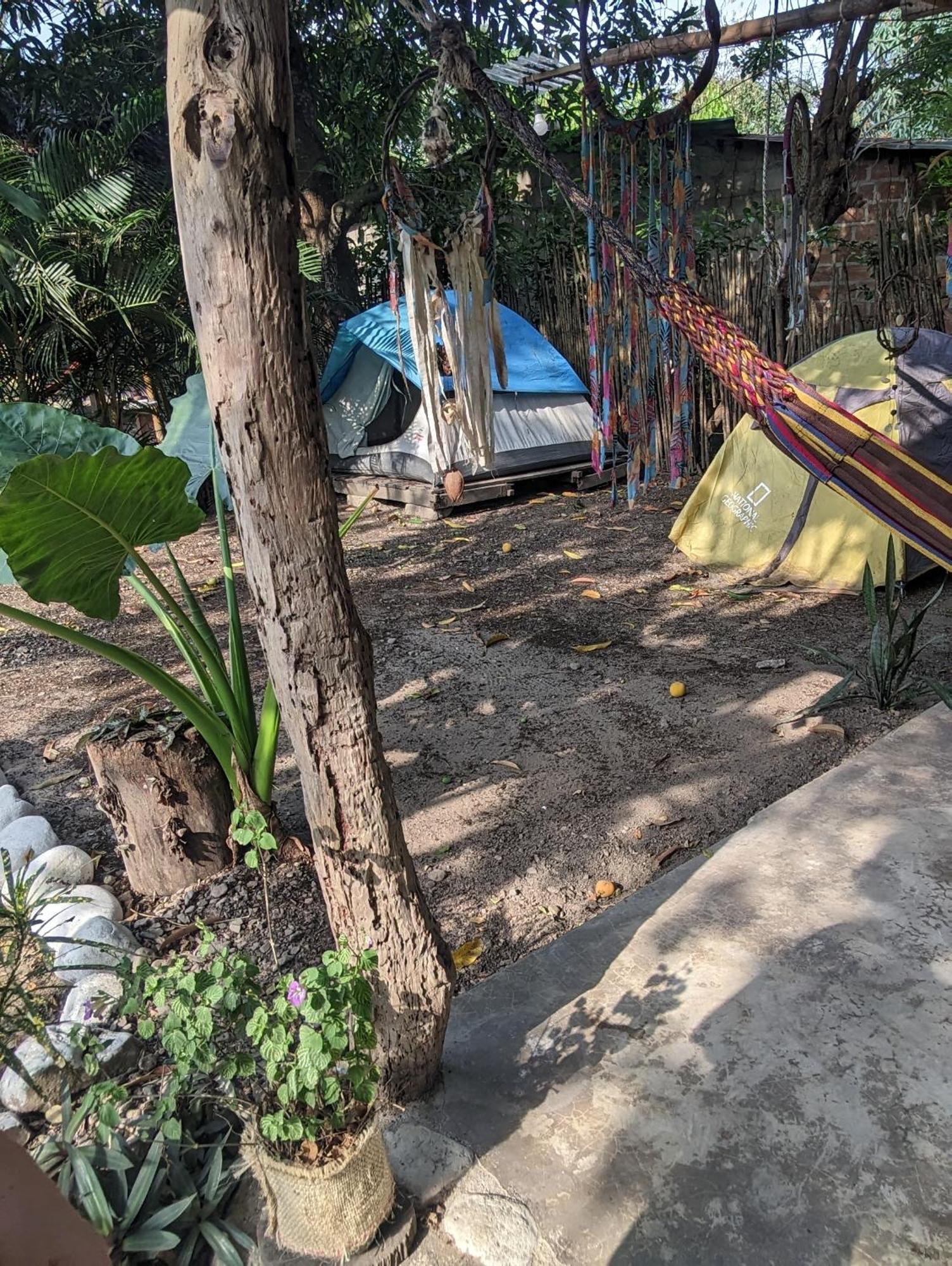 Hostal Palomino Ecohouse & Camping エクステリア 写真
