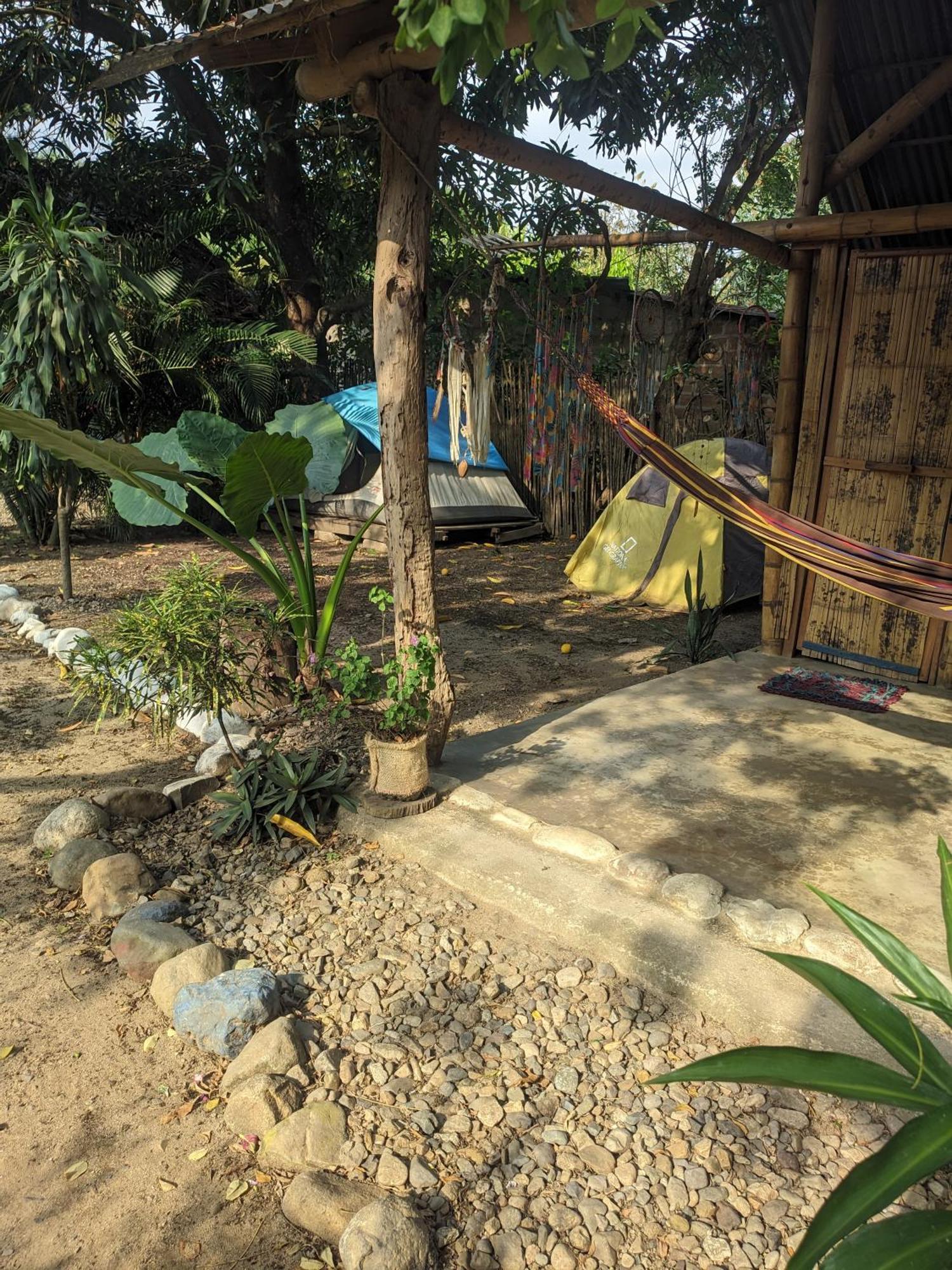Hostal Palomino Ecohouse & Camping エクステリア 写真