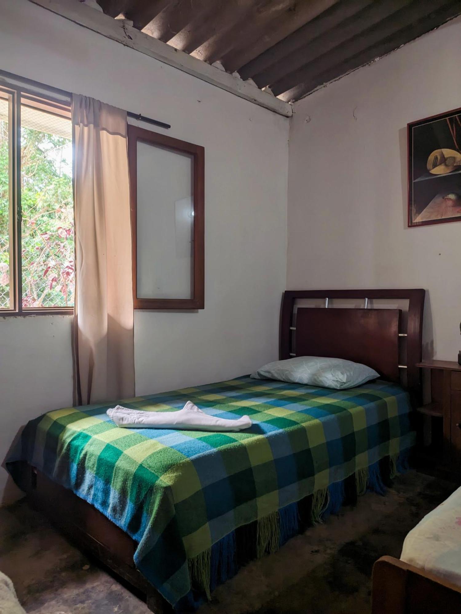Hostal Palomino Ecohouse & Camping エクステリア 写真